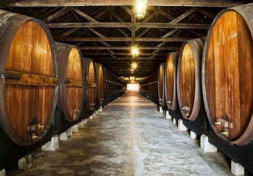 Appartamento A Casa Do Chapeu De Palha Setúbal Esterno foto